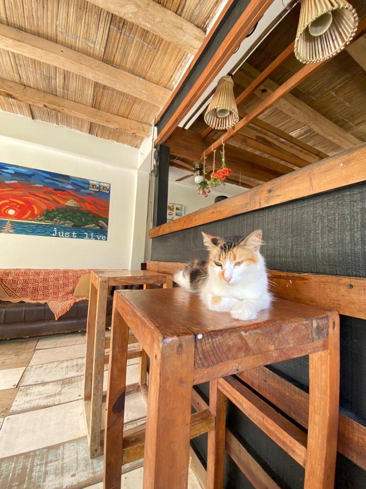Casa Kai Hotel Palomino Luaran gambar
